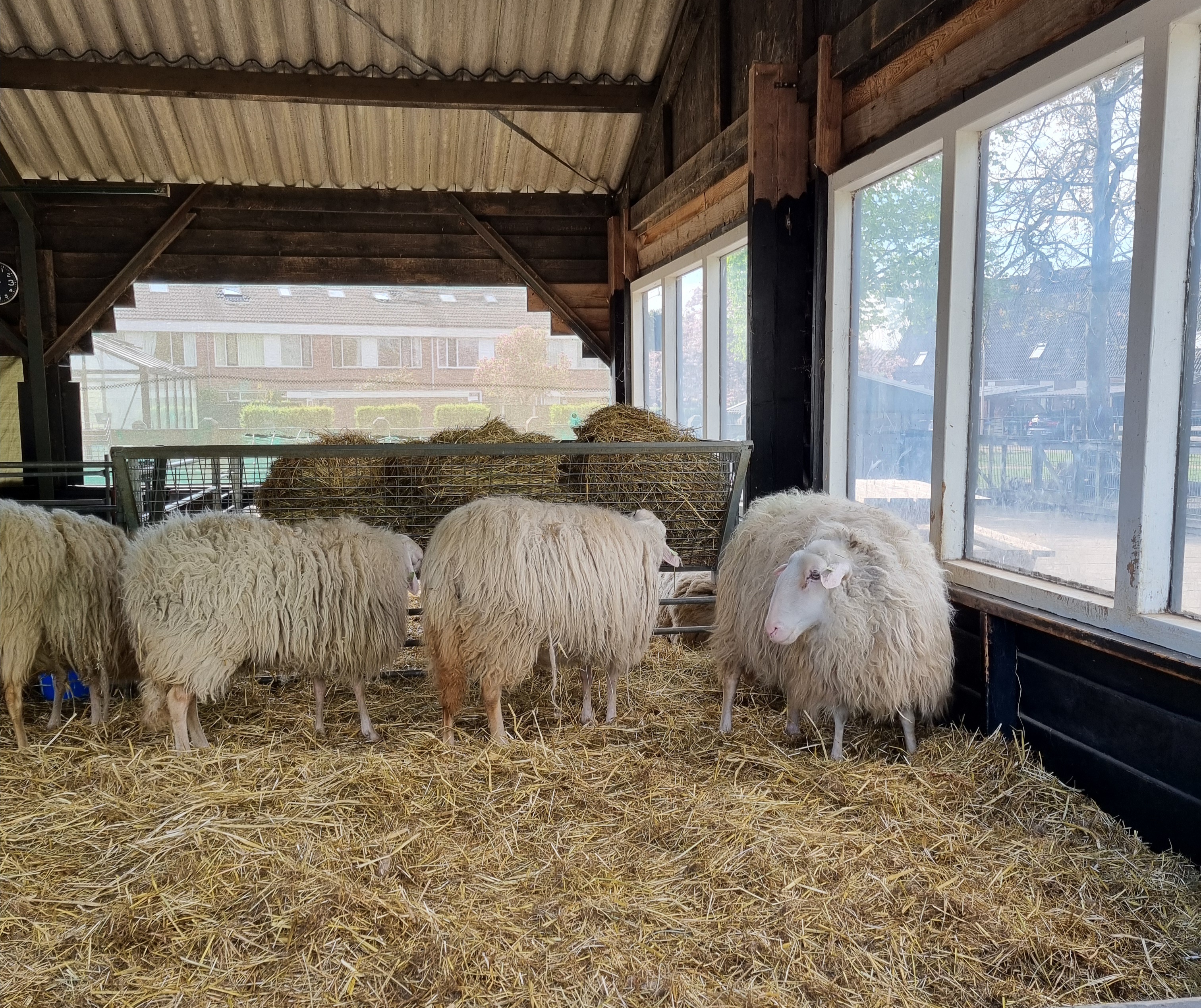 Culemborg 3